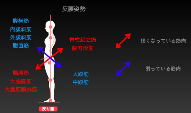 筋骨格疼痛症候群治療のためのヤンダ ・ アプローチ 筋骨格疼痛症候群治療のためのヤンダ・アプローチ～機能的な